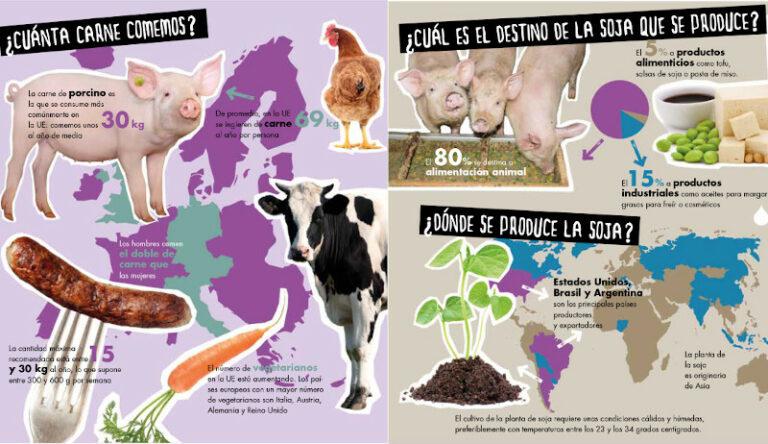 Amigos-de-la-tierra-2-768x444