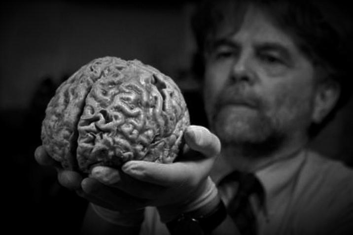 web_cerebro-human_big_ce_VL287593_MG19682774